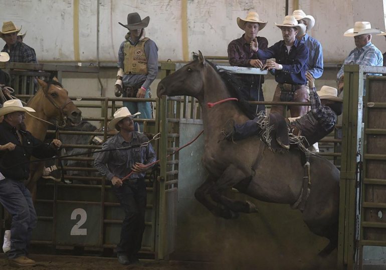 The 2016 Houston Livestock and Rodeo Show kicks off on a Magnificent day view